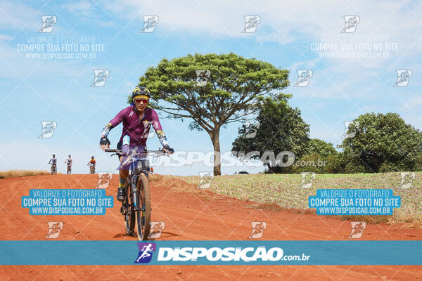 Pedala Paraná - Rota do Caramuru 2024