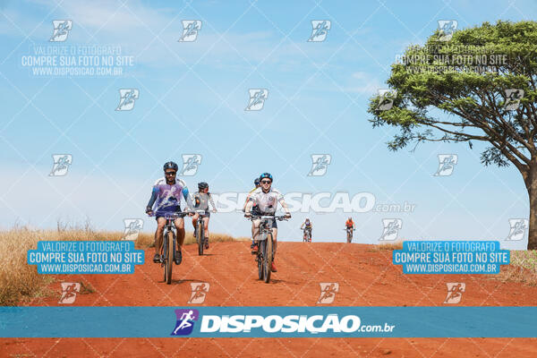 Pedala Paraná - Rota do Caramuru 2024