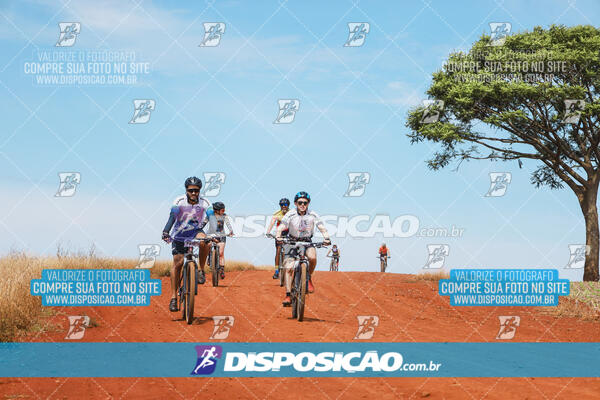 Pedala Paraná - Rota do Caramuru 2024