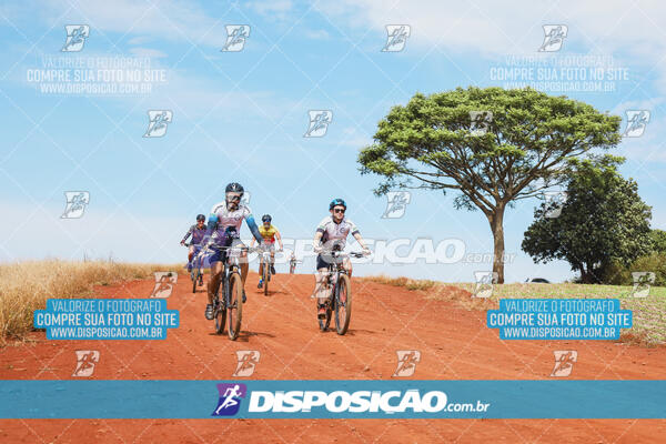 Pedala Paraná - Rota do Caramuru 2024