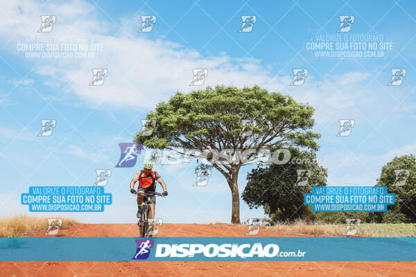 Pedala Paraná - Rota do Caramuru 2024