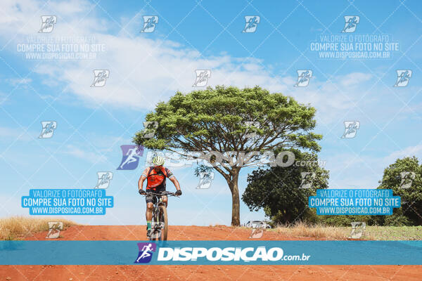 Pedala Paraná - Rota do Caramuru 2024