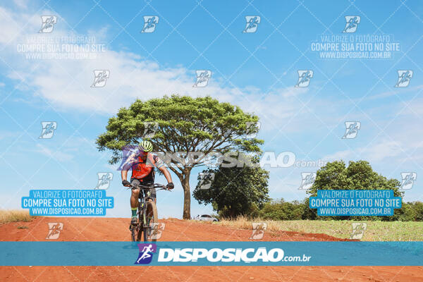 Pedala Paraná - Rota do Caramuru 2024