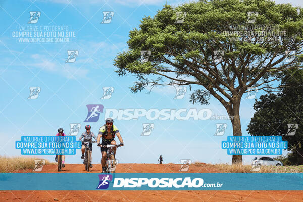 Pedala Paraná - Rota do Caramuru 2024