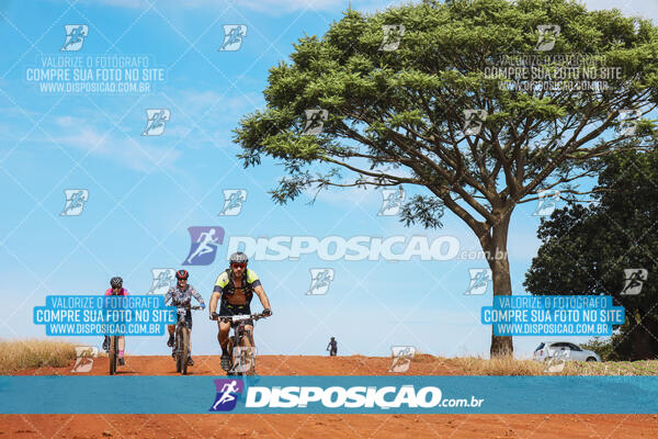 Pedala Paraná - Rota do Caramuru 2024