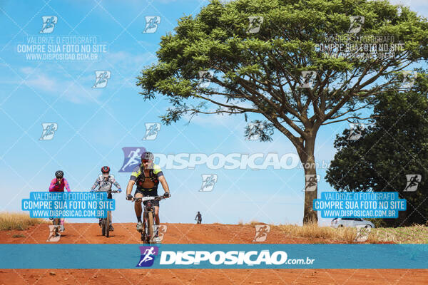 Pedala Paraná - Rota do Caramuru 2024