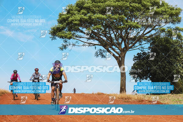 Pedala Paraná - Rota do Caramuru 2024