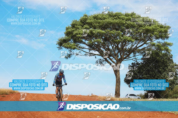 Pedala Paraná - Rota do Caramuru 2024