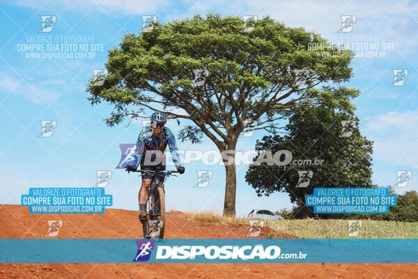 Pedala Paraná - Rota do Caramuru 2024