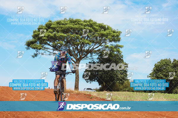 Pedala Paraná - Rota do Caramuru 2024