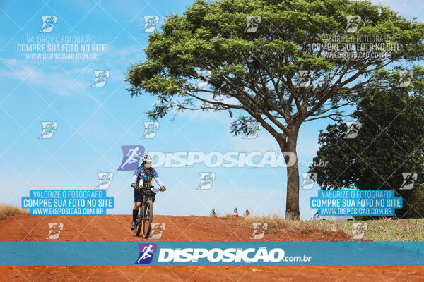 Pedala Paraná - Rota do Caramuru 2024