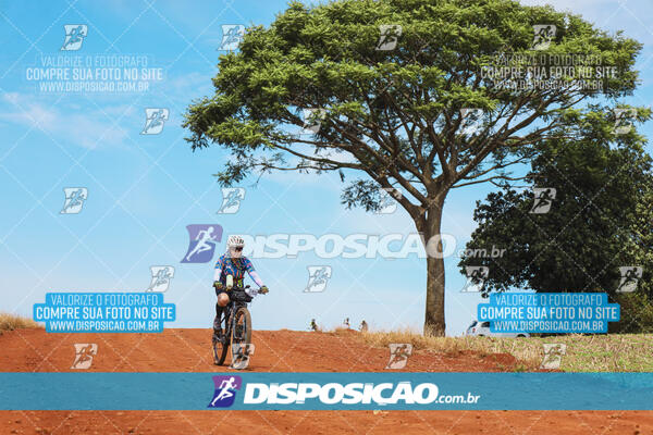 Pedala Paraná - Rota do Caramuru 2024