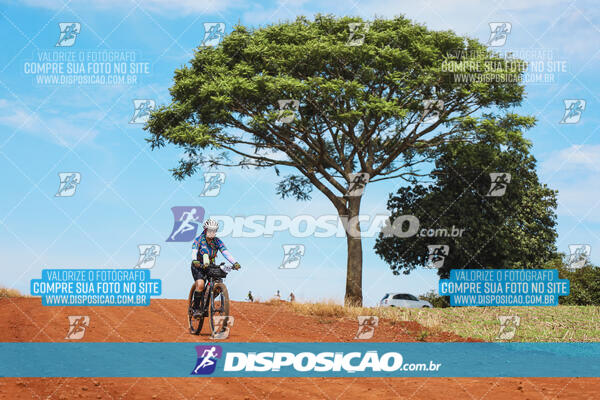 Pedala Paraná - Rota do Caramuru 2024