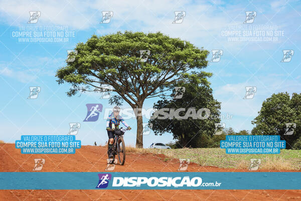 Pedala Paraná - Rota do Caramuru 2024