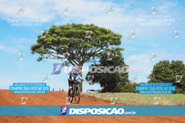 Pedala Paraná - Rota do Caramuru 2024