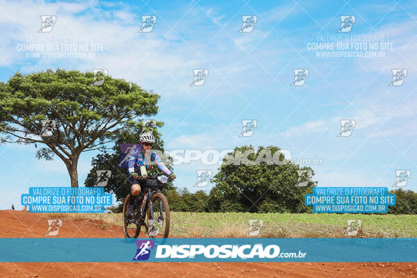 Pedala Paraná - Rota do Caramuru 2024