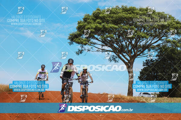 Pedala Paraná - Rota do Caramuru 2024