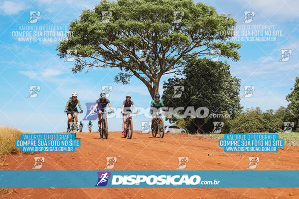 Pedala Paraná - Rota do Caramuru 2024