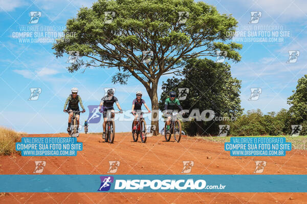 Pedala Paraná - Rota do Caramuru 2024