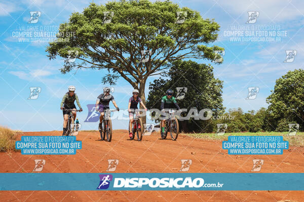 Pedala Paraná - Rota do Caramuru 2024