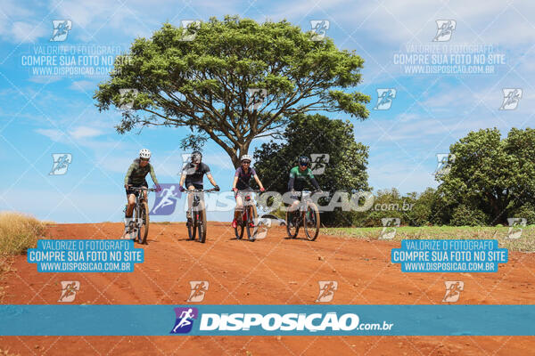 Pedala Paraná - Rota do Caramuru 2024