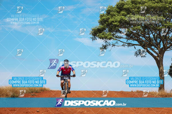 Pedala Paraná - Rota do Caramuru 2024