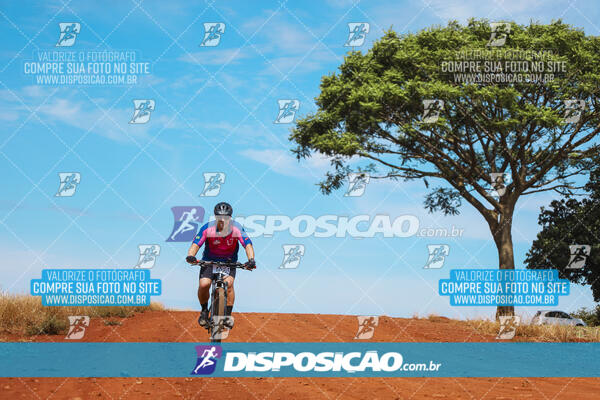 Pedala Paraná - Rota do Caramuru 2024