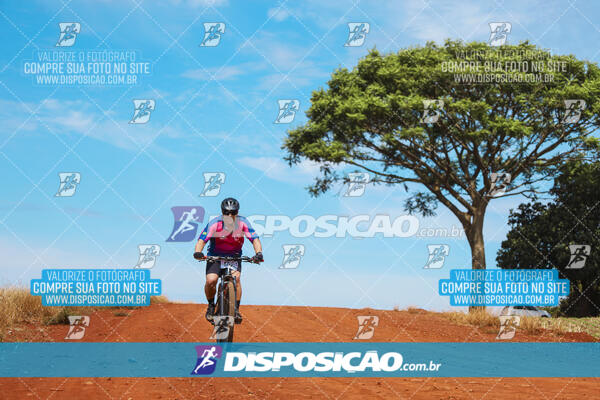 Pedala Paraná - Rota do Caramuru 2024