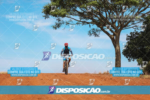 Pedala Paraná - Rota do Caramuru 2024