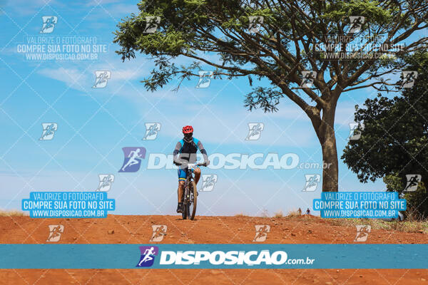 Pedala Paraná - Rota do Caramuru 2024