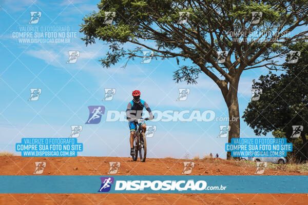 Pedala Paraná - Rota do Caramuru 2024