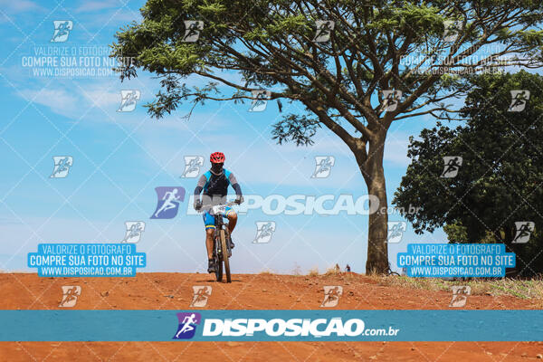 Pedala Paraná - Rota do Caramuru 2024