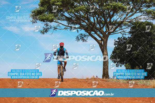 Pedala Paraná - Rota do Caramuru 2024