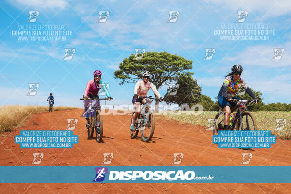 Pedala Paraná - Rota do Caramuru 2024