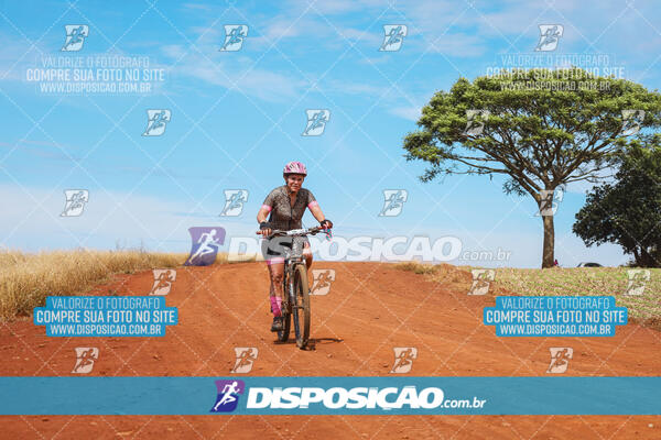 Pedala Paraná - Rota do Caramuru 2024