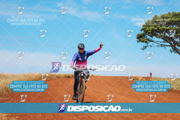 Pedala Paraná - Rota do Caramuru 2024