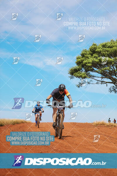 Pedala Paraná - Rota do Caramuru 2024