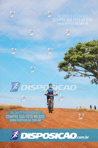 Pedala Paraná - Rota do Caramuru 2024