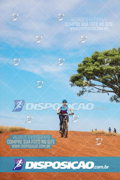 Pedala Paraná - Rota do Caramuru 2024