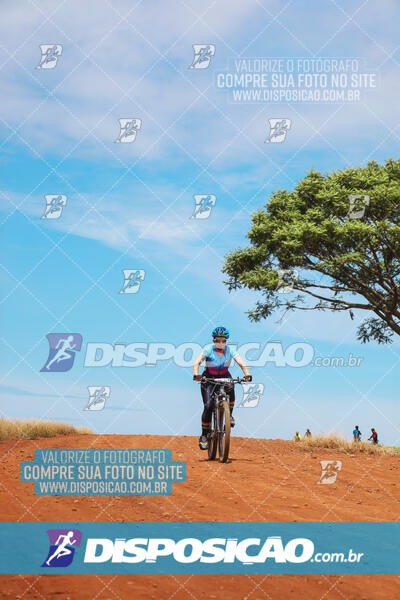 Pedala Paraná - Rota do Caramuru 2024