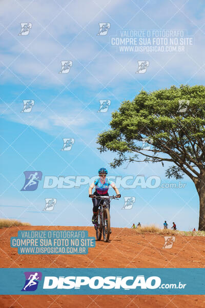 Pedala Paraná - Rota do Caramuru 2024