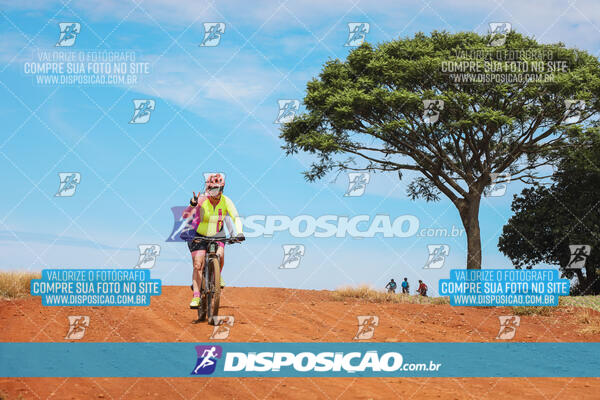 Pedala Paraná - Rota do Caramuru 2024