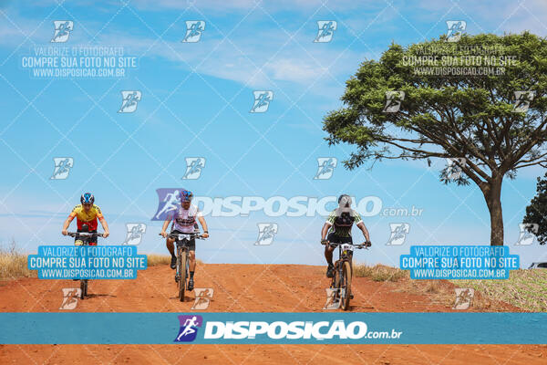 Pedala Paraná - Rota do Caramuru 2024