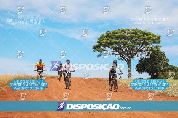 Pedala Paraná - Rota do Caramuru 2024