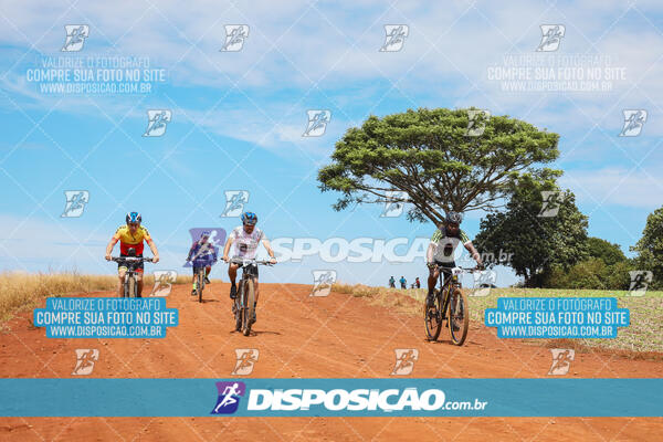 Pedala Paraná - Rota do Caramuru 2024