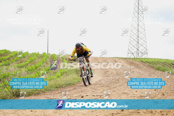 Pedala Paraná - Rota do Caramuru 2024