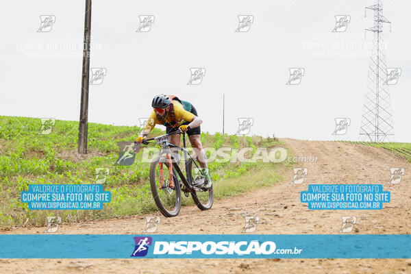 Pedala Paraná - Rota do Caramuru 2024