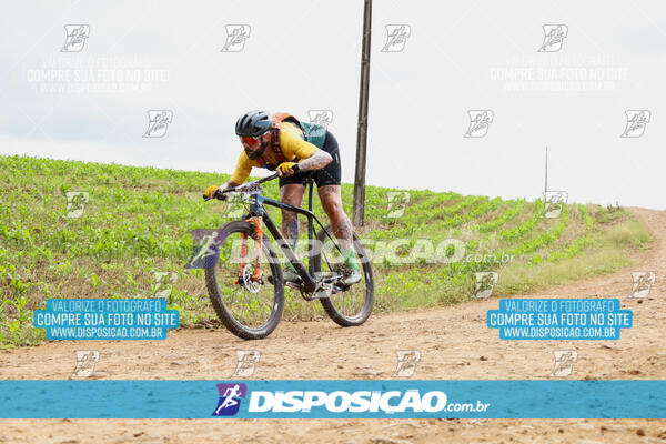 Pedala Paraná - Rota do Caramuru 2024