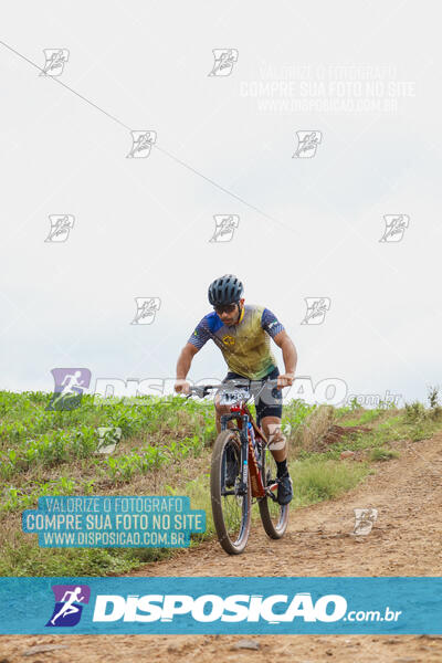 Pedala Paraná - Rota do Caramuru 2024