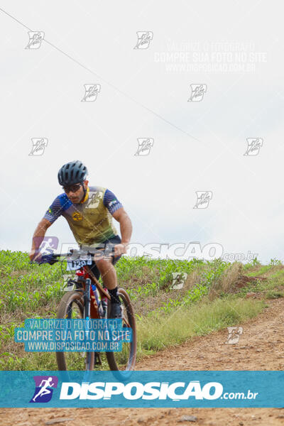 Pedala Paraná - Rota do Caramuru 2024